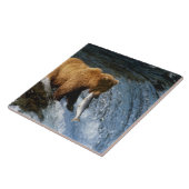 サケを捕らえるアラスカのヒグマ|過去記事 タイル (側面)