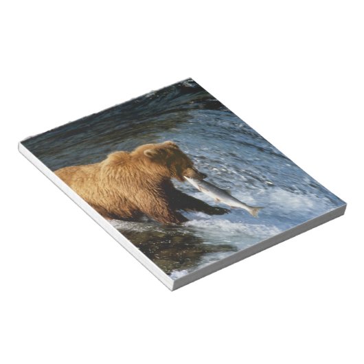 サケを捕らえるアラスカのヒグマ|過去記事 ノートパッド (アングル)