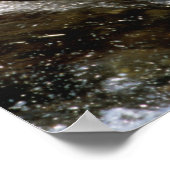 サケを捕らえるアラスカのヒグマ|過去記事 ポスター (角)