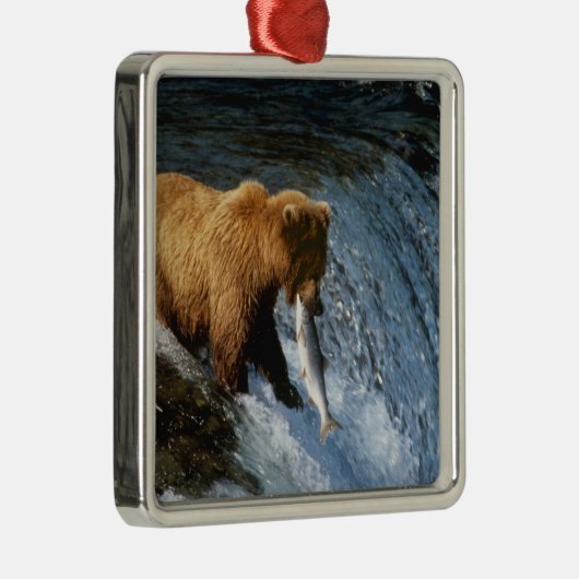 サケを捕らえるアラスカのヒグマ|過去記事 メタルオーナメント (右)