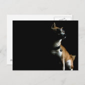 サケサヴェハガキ ポストカード (正面/裏面)