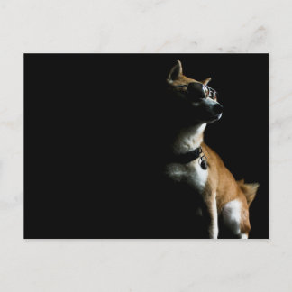 サケサヴェハガキ ポストカード