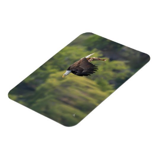 サケ付き太平洋北西禿空白の鷲 マグネット (左側)