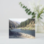 サケ川の夏 ポストカード (スタンド正面)