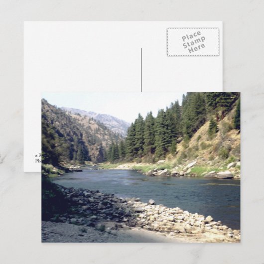 サケ川の夏 ポストカード (正面/裏面)