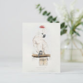 サケ頂点に達されたオウム ポストカード (スタンド正面)