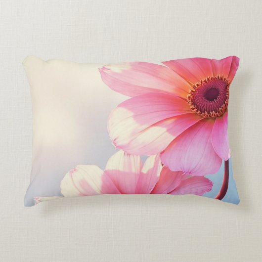 サケ アクセントクッション (正面)