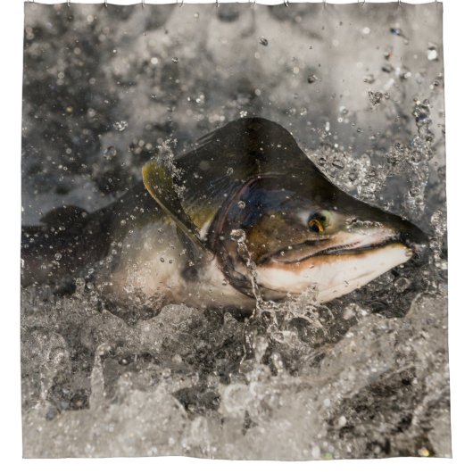 サケ シャワーカーテン (正面)