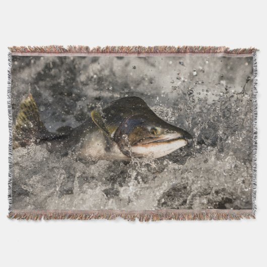 サケ スローブランケット (正面)