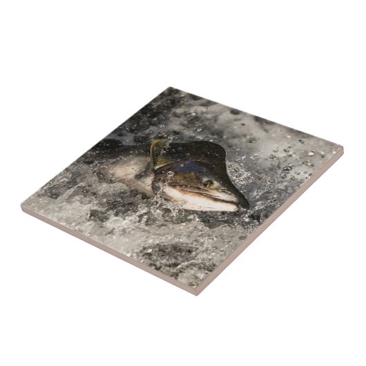 サケ タイル (側面)