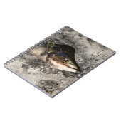 サケ ノートブック (左側)