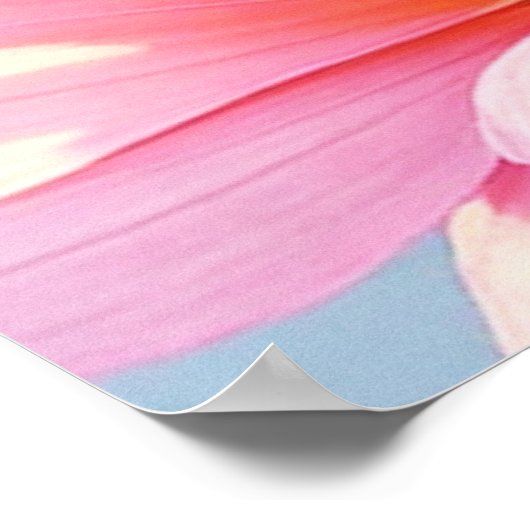 サケ ポスター (角)