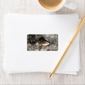 サケ ラベル (インサイチュ)