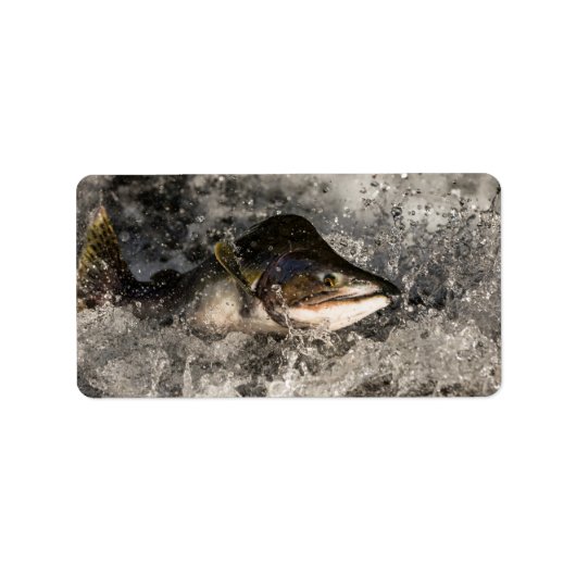 サケ ラベル (正面)