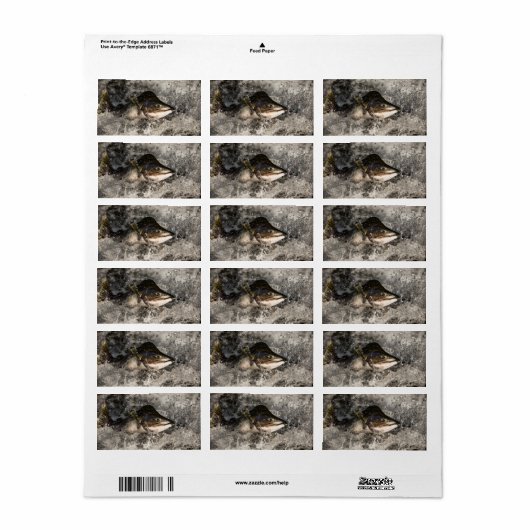 サケ ラベル (フルシート)