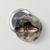 サケ 缶バッジ (正面&裏面)