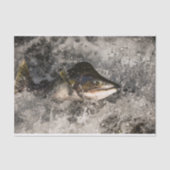 サケ 薄葉紙 (正面)