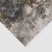 サケ 薄葉紙 (詳細)