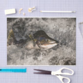 サケ 薄葉紙 (クラフト)