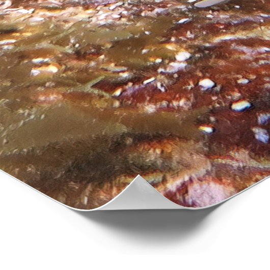 サゲの魚 ポスター (角)