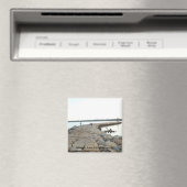 サコンネットポイント防波堤、リトルコンプトン、RI マグネット (インサイチュ (食洗機))