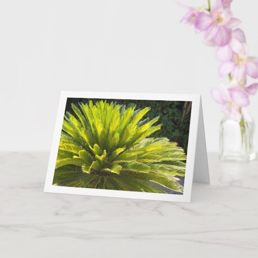 サゴヤシ工場 カード (蘭)