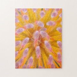 ササザクラ科 ジグソーパズル