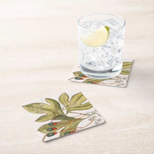 ササフラスツリー葉フラワーズベリーヴィンテージアート スクエアペーパーコースター (インサイチュ)