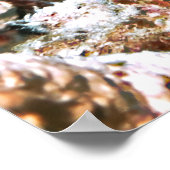 サザメ ポスター (角)