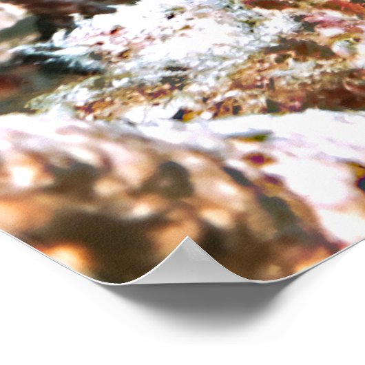 サザメ ポスター (角)