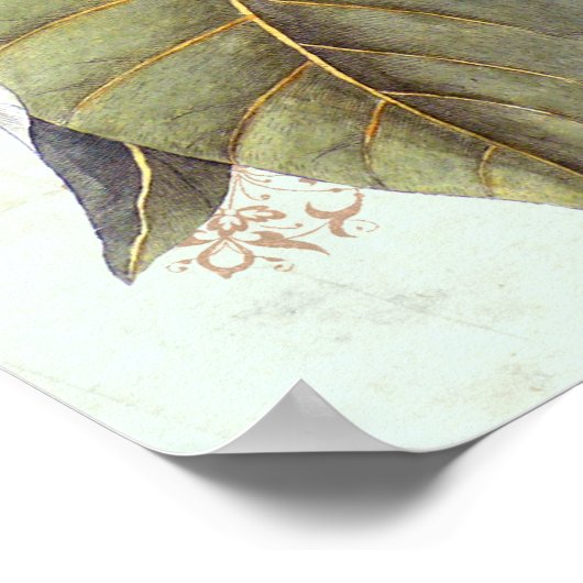 サザンエレガンスヴィンテージボタニカルマグノリア ポスター (角)