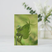 サザングリーン ポストカード (スタンド正面)