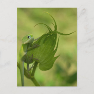 サザングリーン ポストカード