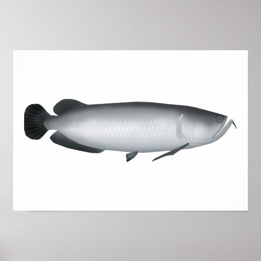 サザンサラトガ ポスター (正面)