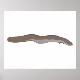 サザンショートフィンウナギ ポスター