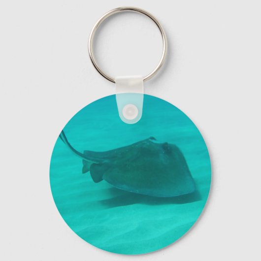 サザンスティングレイ2 キーホルダー (正面)