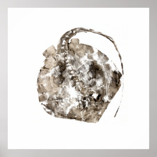 サザンスティングレイ ポスター