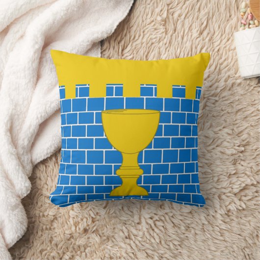 サザンパスの要塞ポピュレースバッジスロー クッション (ブランケット)