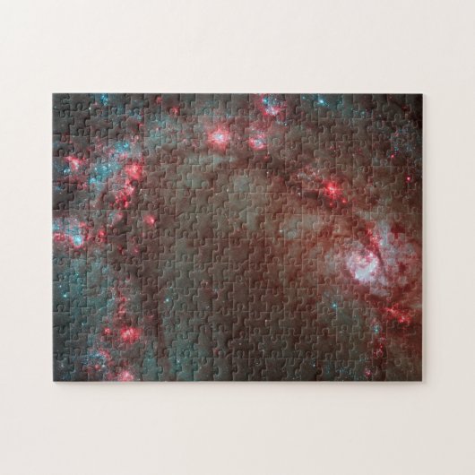 サザンピンホイールパズル ジグソーパズル (横)