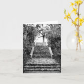 サザンプランテーションインスパイアノテカード カード (黄色い花)