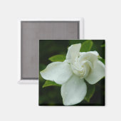 サザンベル マグネット (正面/裏面)