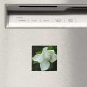 サザンベル マグネット (インサイチュ (食洗機))