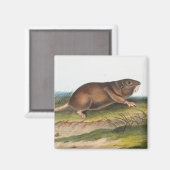 サザンポーチドラットシュリーモグライラストレーション マグネット (正面/裏面)