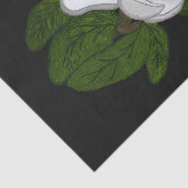 サザンマグノリアイラストレーション 薄葉紙 (詳細)