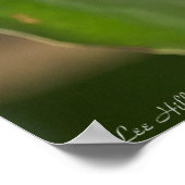 サザンマグノリア赤い種子ポッドポスター ポスター (角)