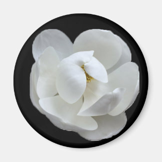 サザンレディ マグネット