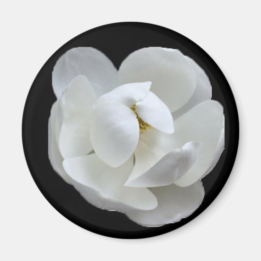 サザンレディ マグネット (正面)