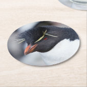 サザンロックホッパーペンギン ラウンドペーパーコースター (アングル)