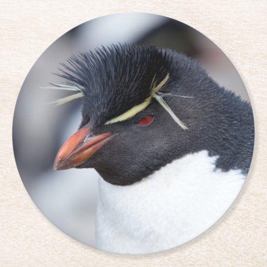 サザンロックホッパーペンギン ラウンドペーパーコースター (正面)