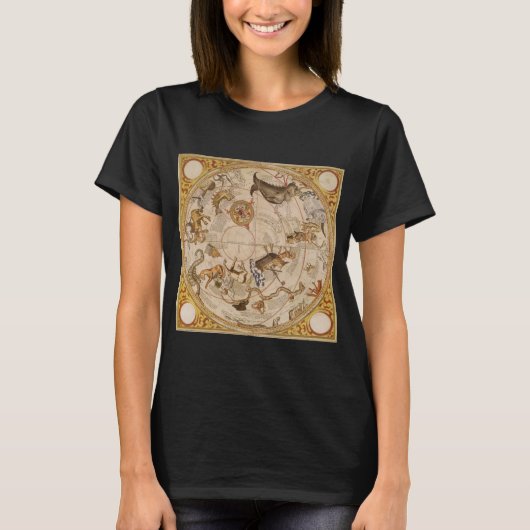サザン・スカイの星座 ヴィンテージ天文学 Tシャツ (正面)